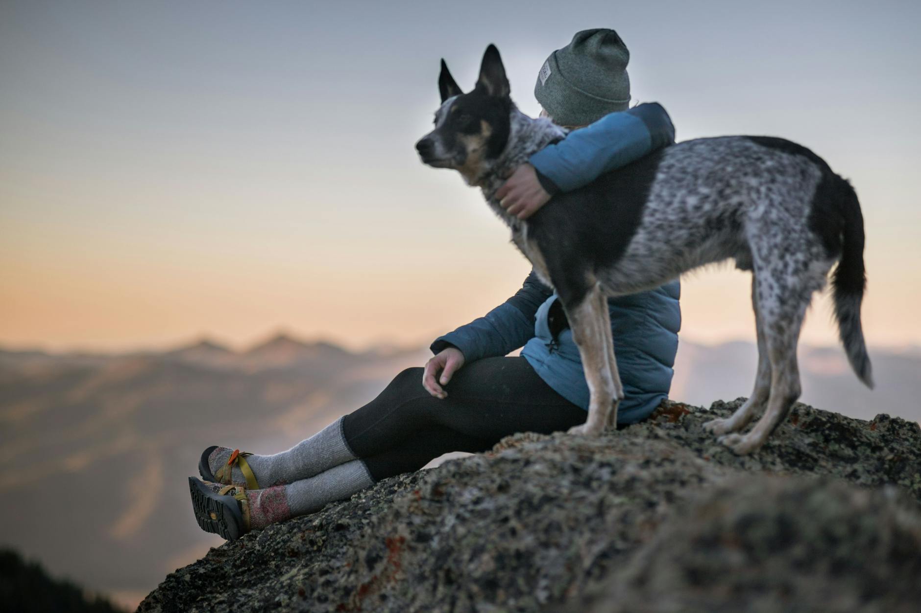 photo of person holding black and white dog